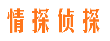 新宁市侦探调查公司